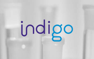 Indigo Diabetes Business Update