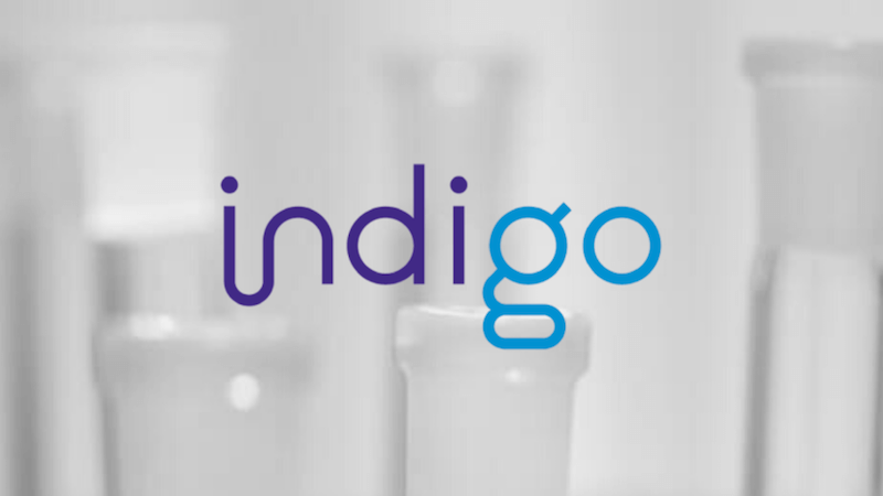 Indigo Diabetes concludes a €38 million round of financing